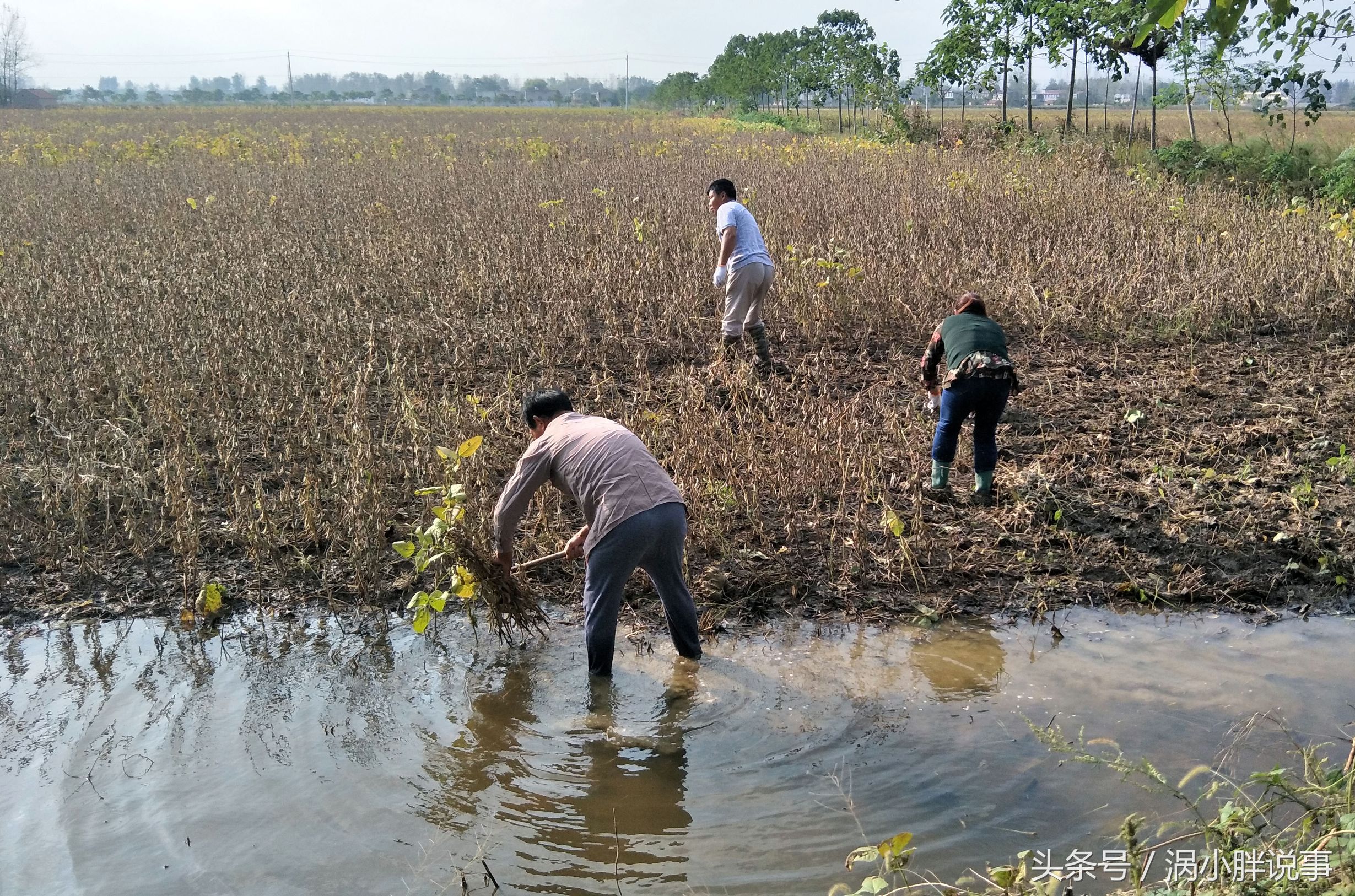 九游体育APP下载-收拾