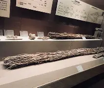 九游体育APP下载-佥沯_r奁W]6嗕鰟q?鏳殹叜?J暯{